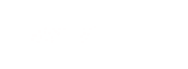 Thüringischer Geologischer Verein